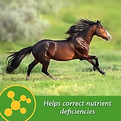 Farnam Vita-Min E & Selenium Antioxidant Soft Chew Horse Supplement, 3-lb bucket slide 2 of 6