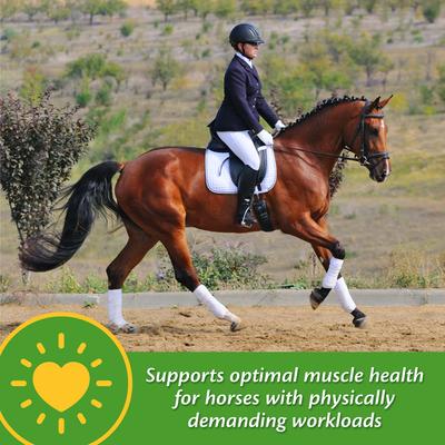 Show full view: Farnam Vita-Min E & Selenium Antioxidant Soft Chew Horse Supplement, 3-lb bucket slide 4 of 7