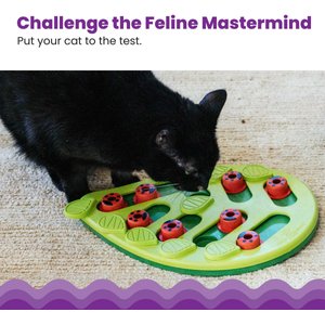 Nina Ottosson by Outward Hound Buggin' Out Puzzle & Play Cat Toy