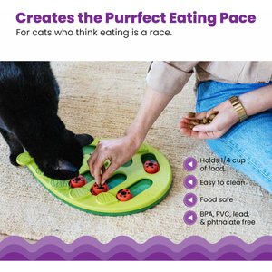 Nina Ottosson by Outward Hound Buggin' Out Puzzle & Play Cat Toy