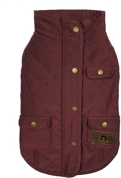 dog burgundy jacket