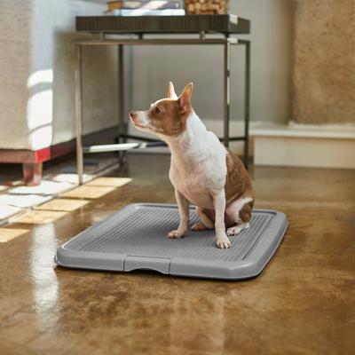 Show full view: Frisco Training Pad Holder, 24-in x 18.1-in slide 5 of 7