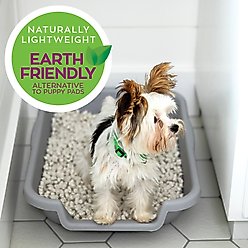Puppy Go Potty Natural Paper Fiber Dog Litter, 8.5-lb bag slide 2 of 9