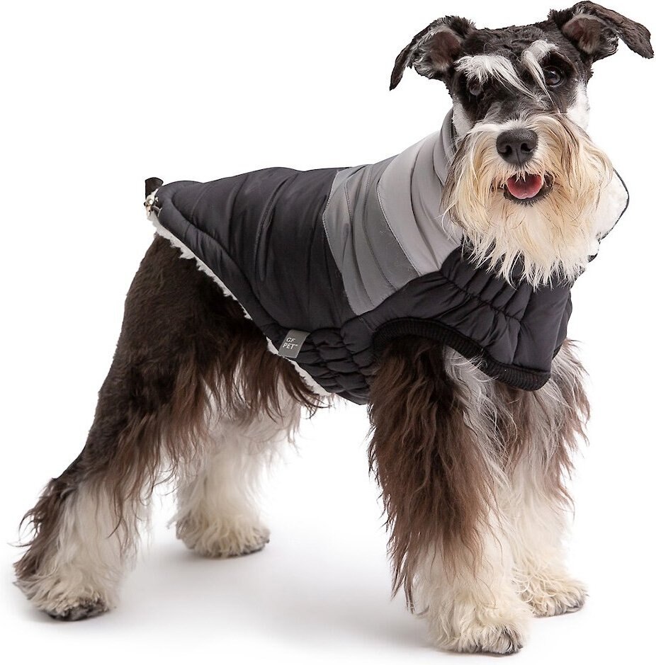 summit puffer dog coat