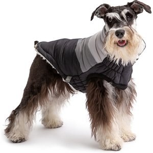 summit puffer jacket dog