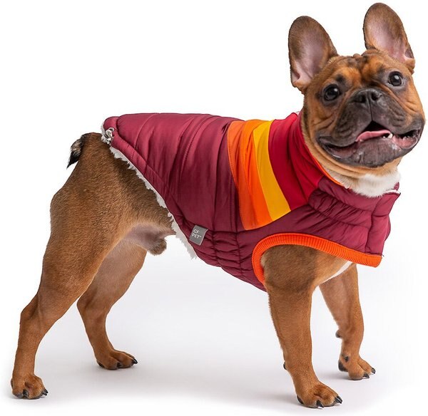 GF PET Summit Chevron Insulated Puffer Dog Coat, Dark Red, Small - Chewy.com