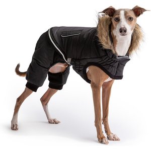 GF Pet Creekside Insulated Dog Snowsuit, Black, X-Small