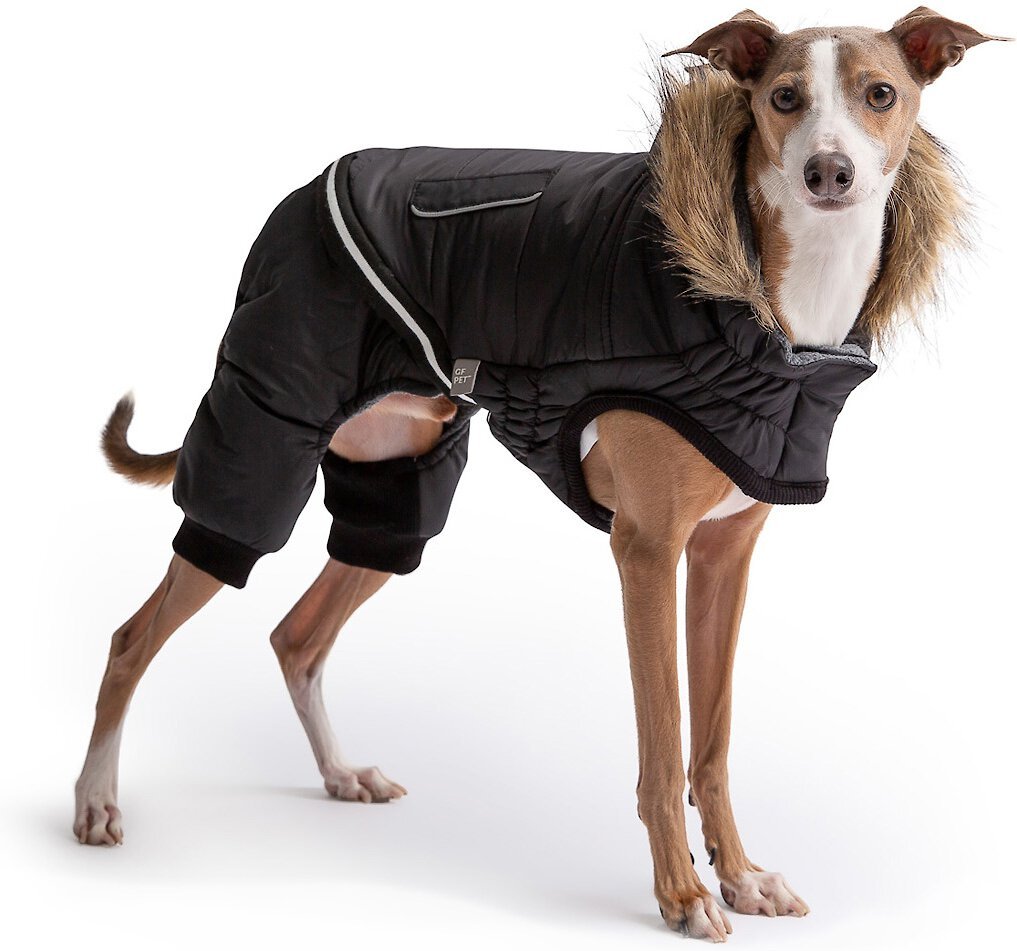 Chewy dog shop winter coats