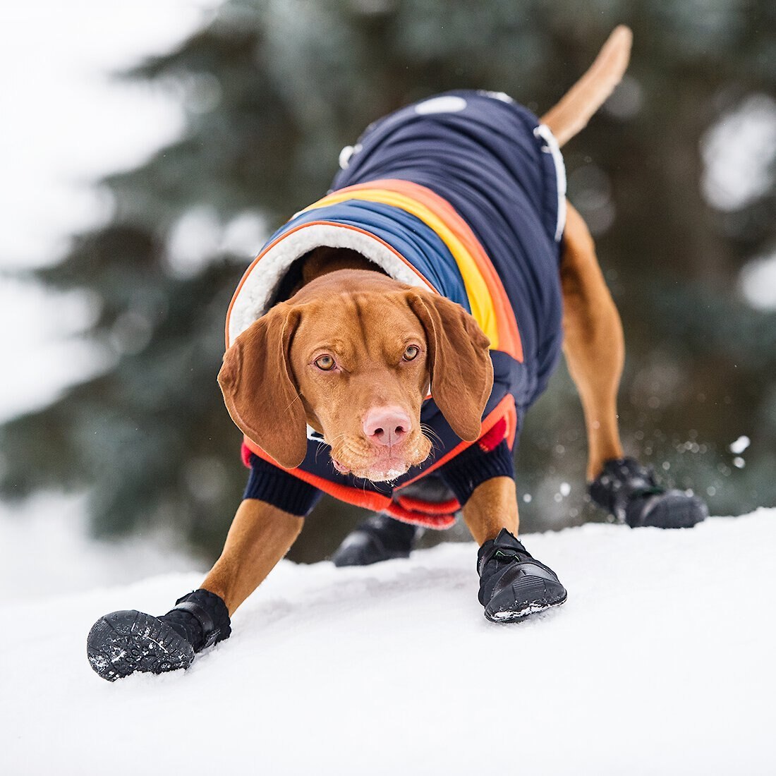 GF PET Elastofit Dog Boots, XLarge