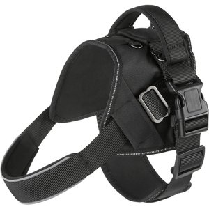 Frisco Big Dog Harness, Black, M - Girth: 21 - 25-in