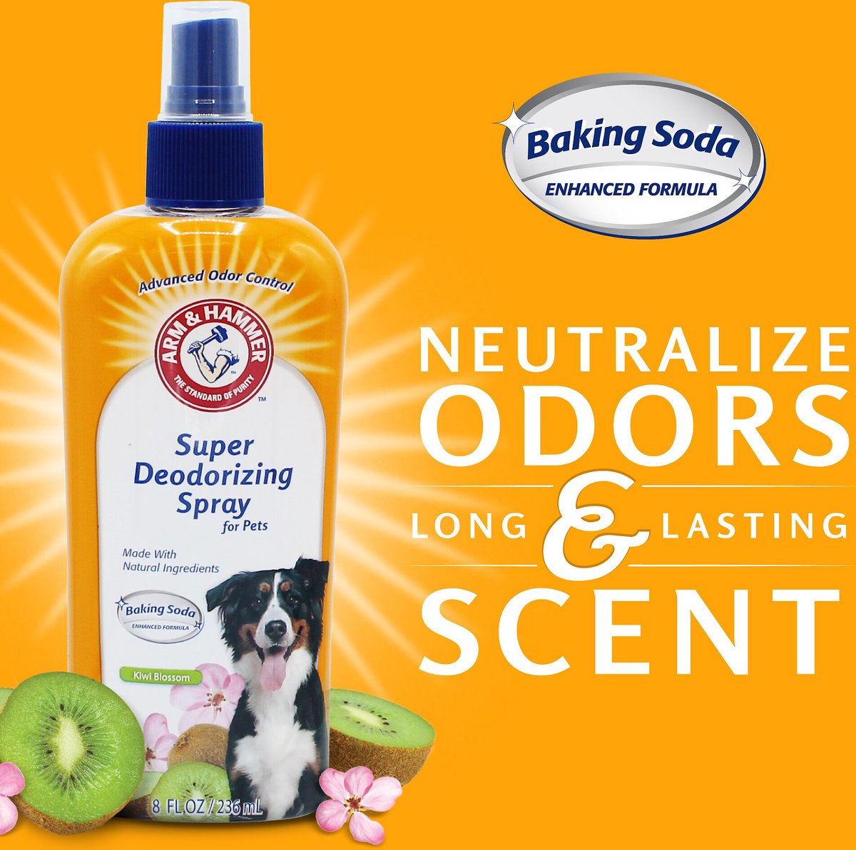 ARM HAMMER PRODUCTS Kiwi Blossom Super Deodorizing Dog Spray 8