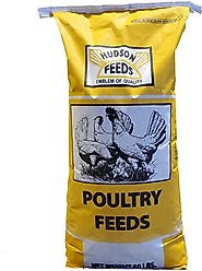 Hudson Feeds Poultry Feeds 25% Turkey Starter-Grower Medicated Turkey Food, 50-lb bag