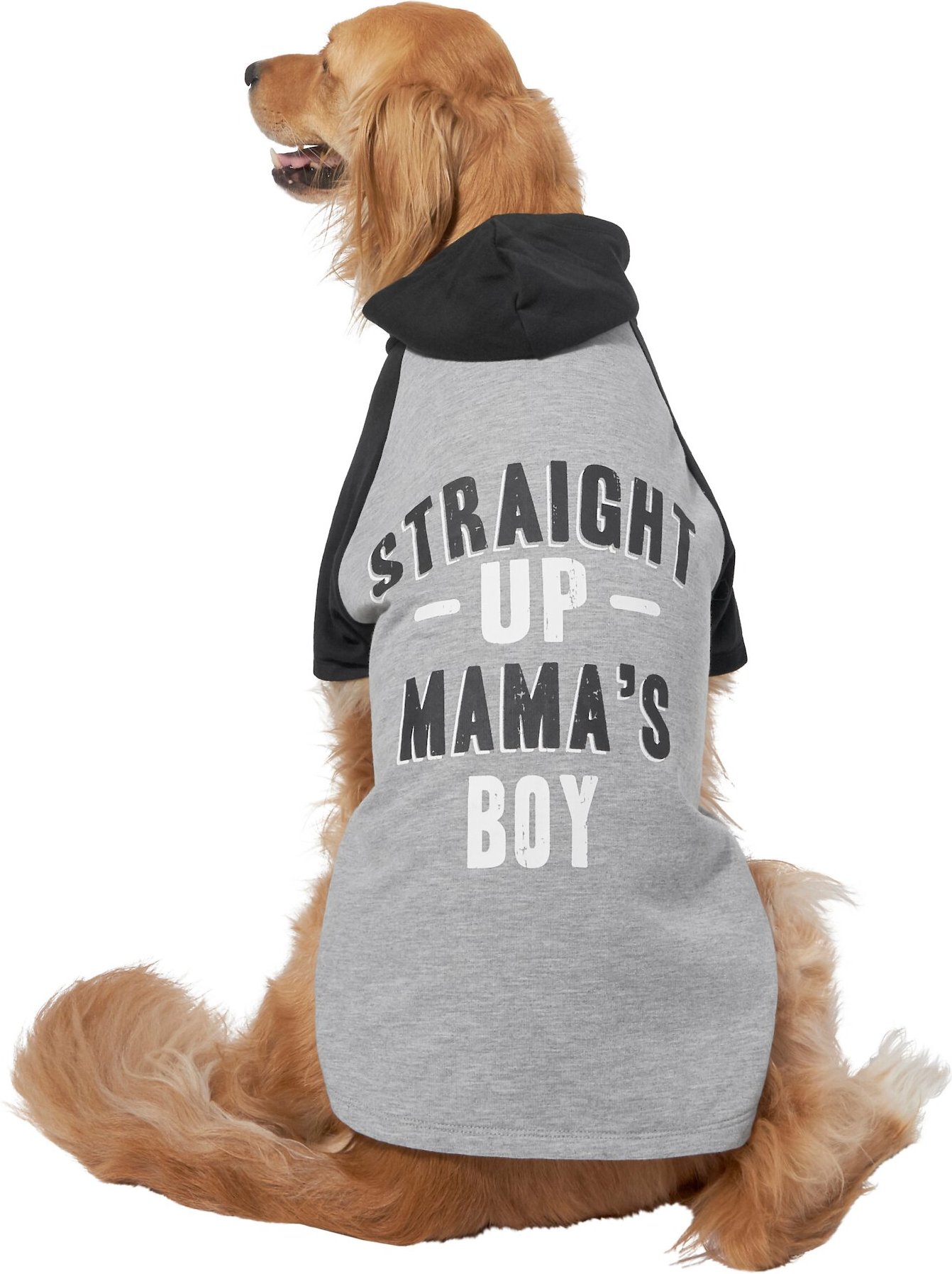 MAMA'S BOY DOG COLLAR — Roxy & Company