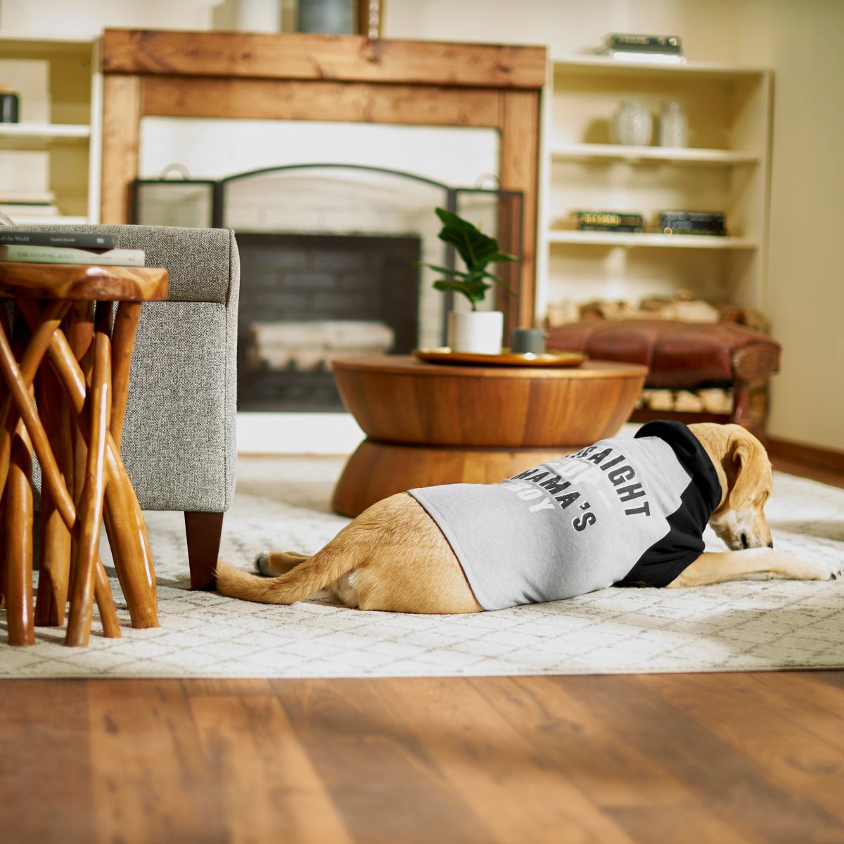 WAGATUDE Gray Straight Up Mama's Boy Dog Hoodie, XXLarge