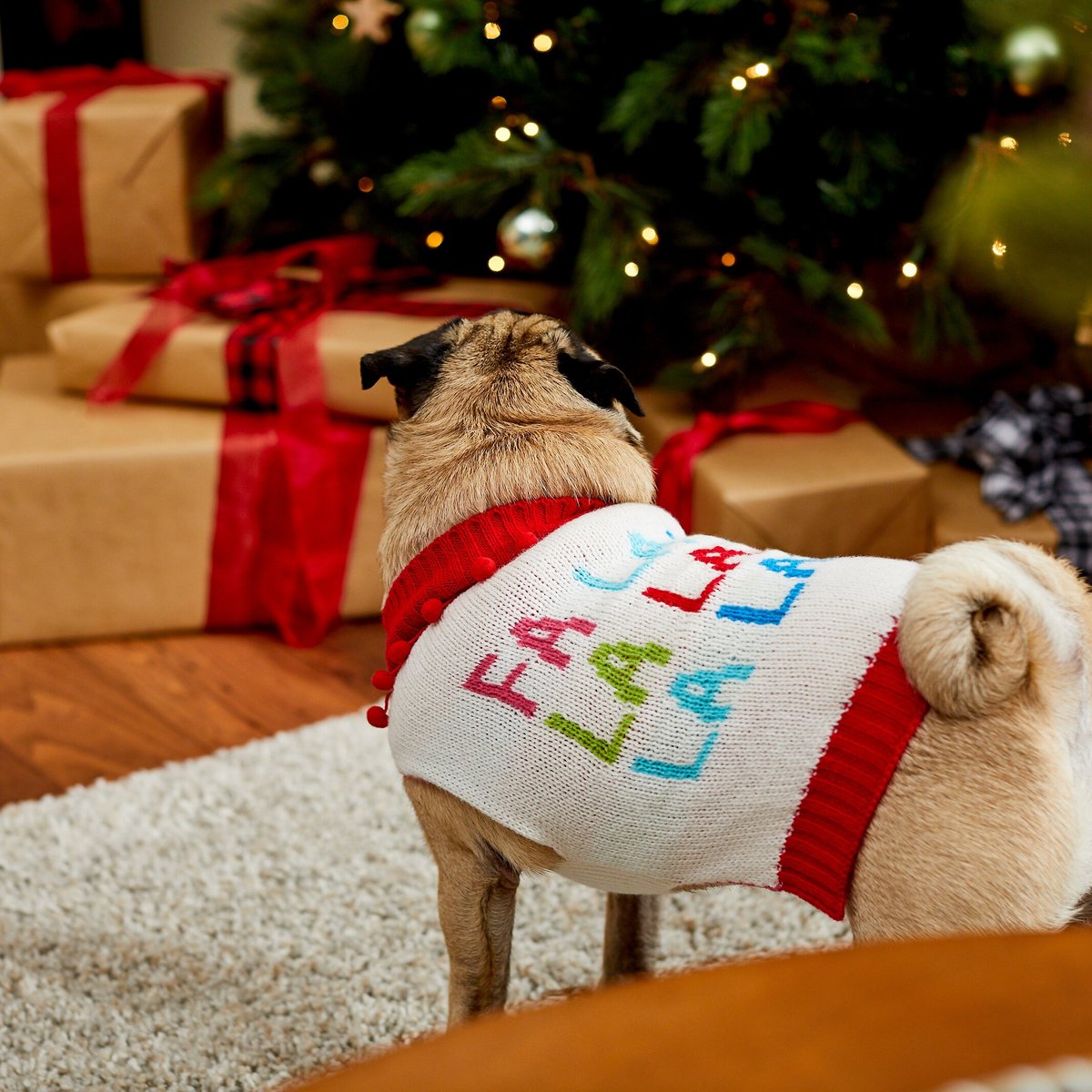 Chewy christmas clearance sweater