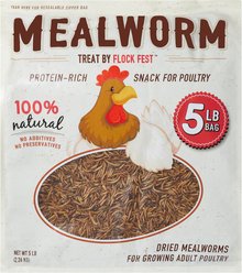 Flock Fest Dried Mealworms Adult Poultry Treats, 5-lb bag, 1 count