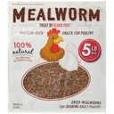 Flock Fest Dried Mealworms Adult Poultry Treats, 5-lb bag, 1 count