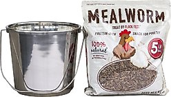 Flock Fest Dried Mealworms Adult Chicken Treats, 5-lb bag & Stainless Steel Feeder Bucket