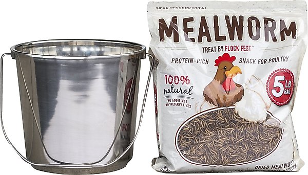 Flock Fest Dried Mealworms Adult Chicken Treats, 5-lb bag & Stainless Steel Feeder Bucket slide 1 of 8