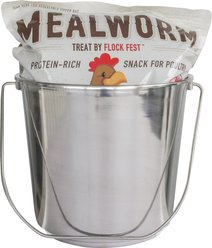 Flock Fest Dried Mealworms Adult Chicken Treats, 5-lb bag & Stainless Steel Feeder Bucket slide 2 of 8