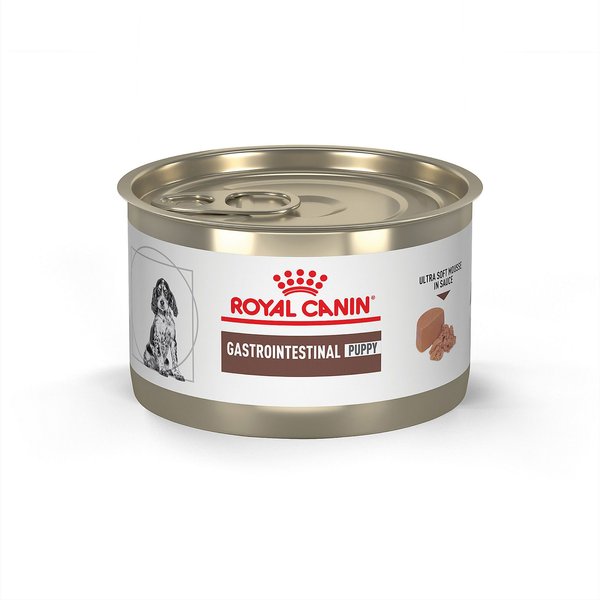 ROYAL CANIN VETERINARY DIET Puppy Gastrointestinal Ultra Soft Mousse in Sauce Canned Dog Food 5.1 oz case of 24 Chewy