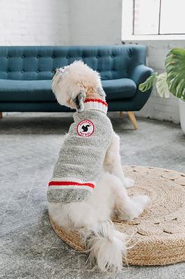 Show full view: Chilly Dog Squirrel Patrol Wool Dog Sweater, XX-Small slide 5 of 7