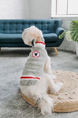 Show full view: Chilly Dog Squirrel Patrol Wool Dog Sweater, 3X-Large slide 3 of 5