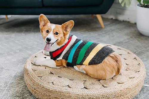 Show full view: Chilly Dog Charcoal Striped Wool Dog Sweater, X-Small slide 5 of 6
