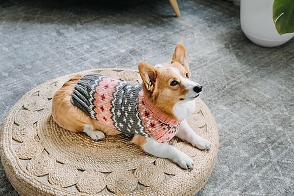 PEACH FAIRISLE DOG SWEATER
