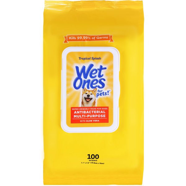 WET ONES Anti Bacterial Paw & Tushie Tropical Splash Scent Dog Wipes, 60 count