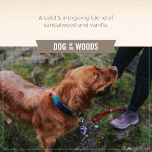 Skout's Honor Probiotic Dog of the Woods Dog Detangler, 8-oz spray