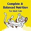 Show in main carousel: Temptations Creepy Catnip Blissful Catnip Flavor Cat Treats, 16-oz tub slide 10 of 12