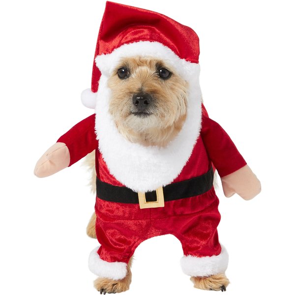 Out of Stock - FRISCO Front Walking Santa Dog & Cat Costume, 1 count ...