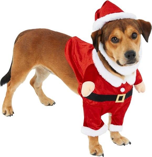 Frisco Front Walking Santa Dog & Cat Costume, 1 count