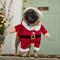 Show in main carousel: Frisco Front Walking Santa Dog & Cat Costume, 1 count, XX-Large slide 6 of 9