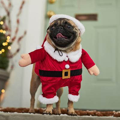 Show full view: Frisco Front Walking Santa Dog & Cat Costume, 1 count, XX-Large slide 6 of 9