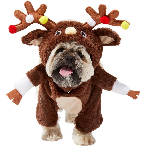 Walking snowman outlet dog costume