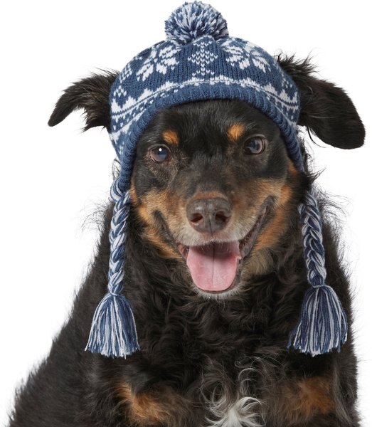 Frisco Fair Isle Dog & Cat Knitted Hat, Navy, Medium/Large slide 1 of 5