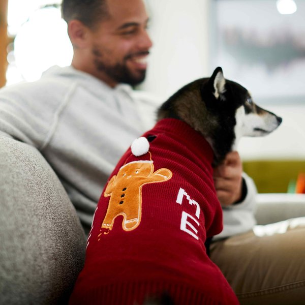Frisco Holiday Truck Dog & Cat Sweater