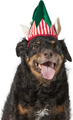 Frisco Holiday Elf Dog & Cat Hat, X-Large/XX-Large