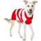 Show in main carousel: Frisco String Christmas Lights Dog & Cat Christmas Sweater, 1 count, XXX-Large slide 1 of 8
