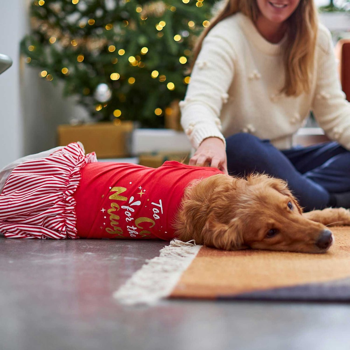 Frisco I'm On the Naughty List Dog & Cat Hoodie