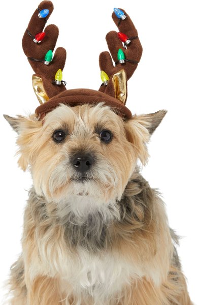 Frisco Holiday LED Antler Dog & Cat Headpiece, X-Small/Small slide 1 of 6