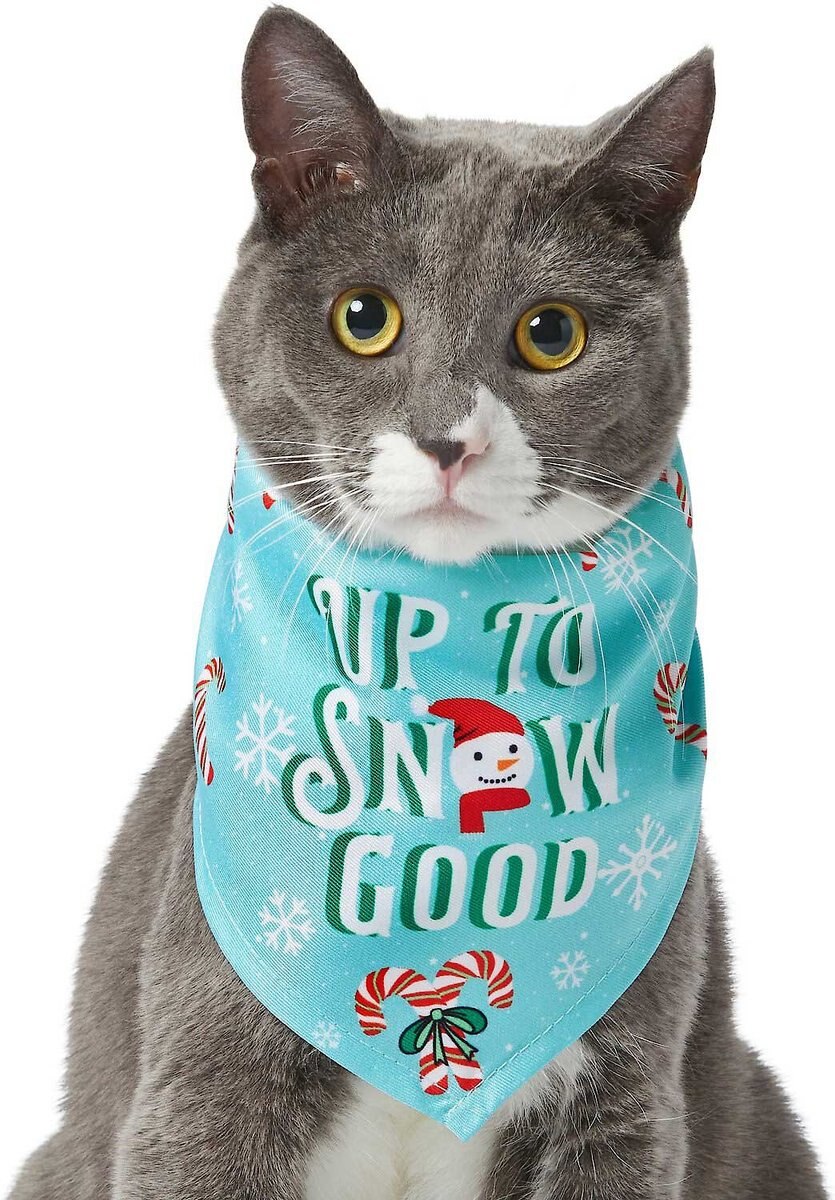Frisco Up to Snow Good Dog & Cat Sweater
