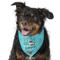 Show in main carousel: Frisco Up to Snow Good Dog & Cat Bandana, Medium/Large slide 4 of 10