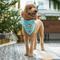 Show in main carousel: Frisco Up to Snow Good Dog & Cat Bandana, Medium/Large slide 6 of 10