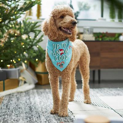 Show full view: Frisco Up to Snow Good Dog & Cat Bandana, Medium/Large slide 6 of 10