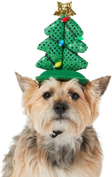 Frisco Christmas Tree LED Dog & Cat Headpiece, X-Large/XX-Large slide 1 of 5
