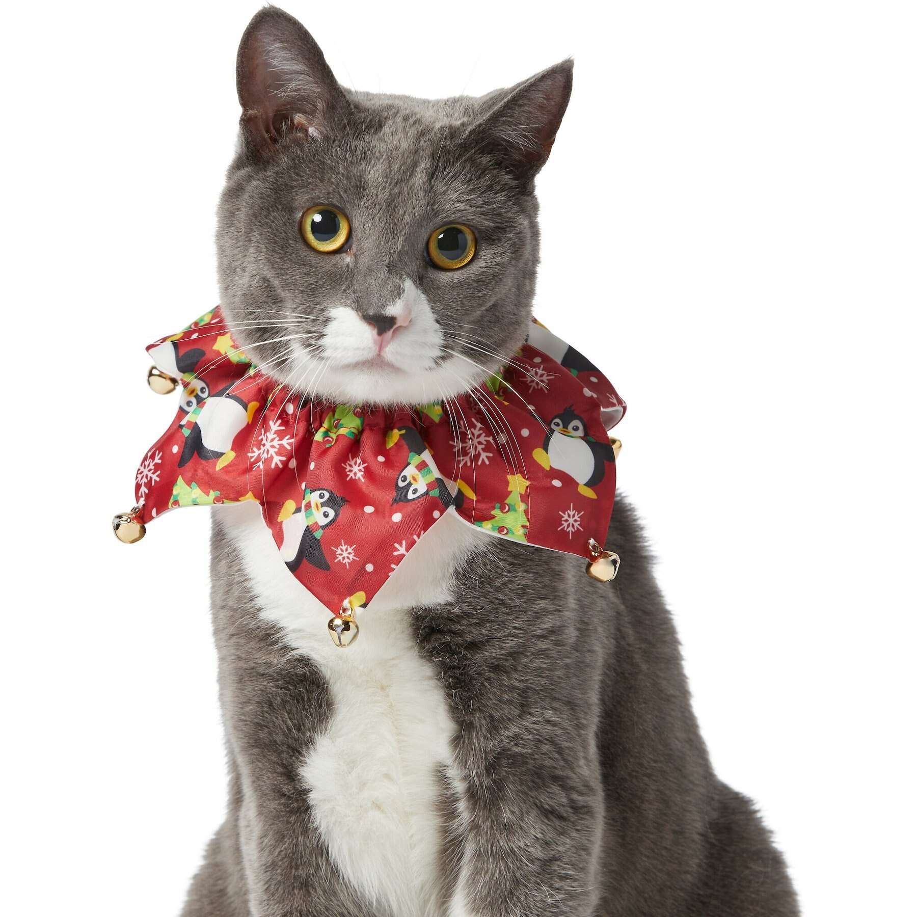 Christmas cat collars bells hotsell