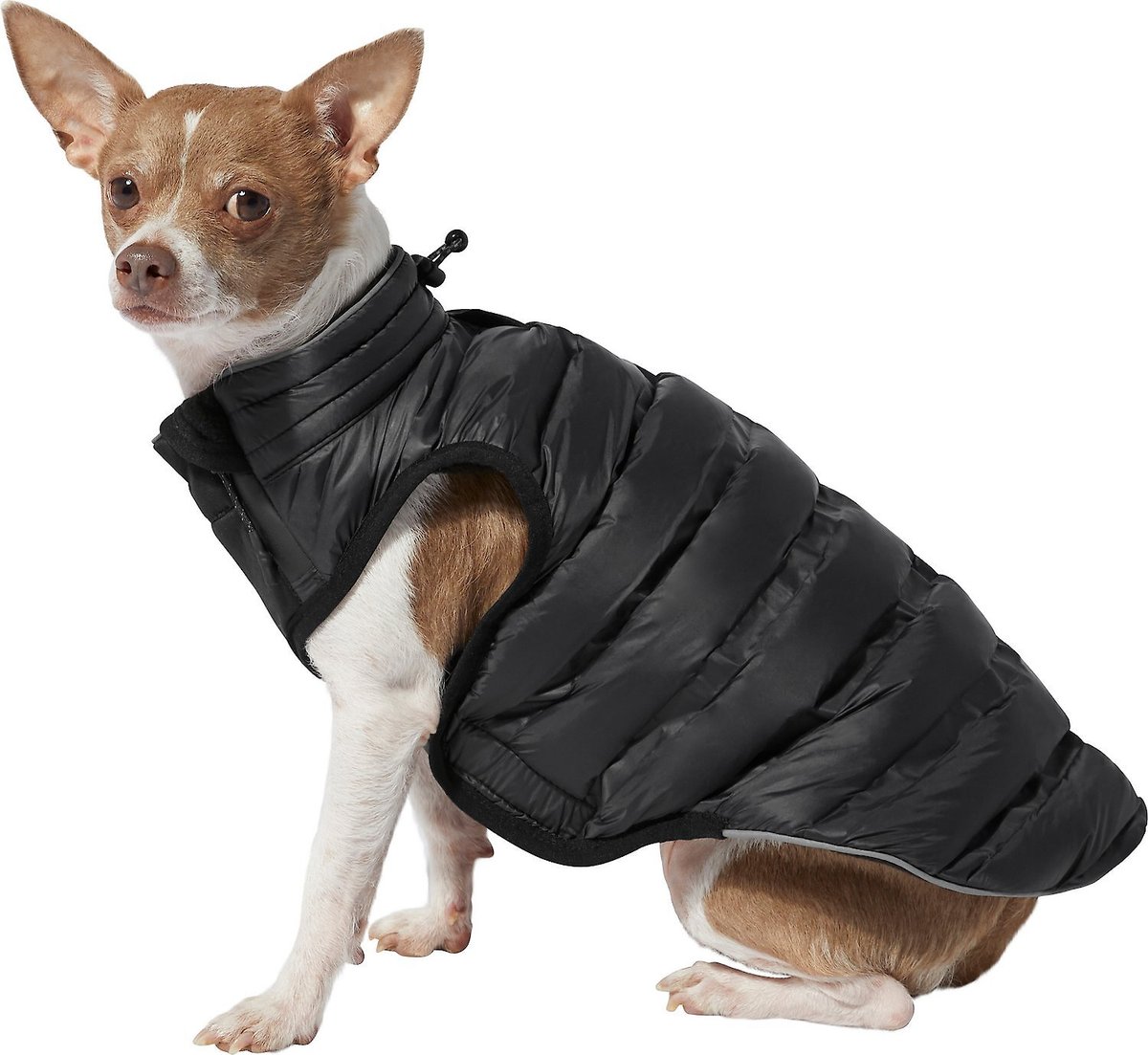 Kong shop dog jacket